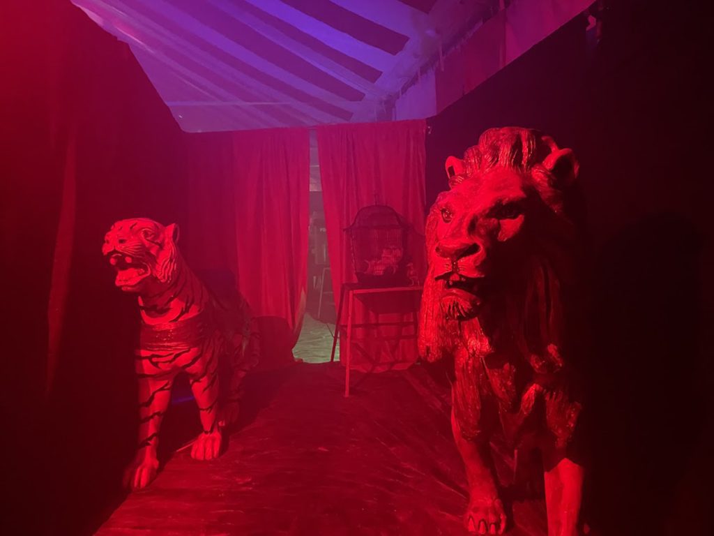cirque noir lions